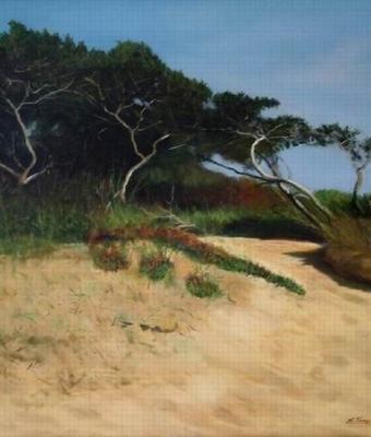 boschetto-torre-canne