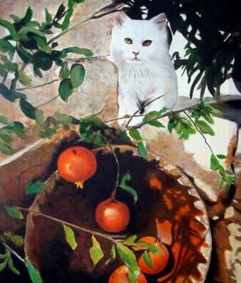 natura-con-gatto