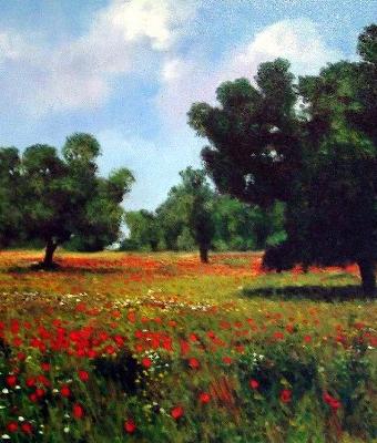 campo-di-papaveri