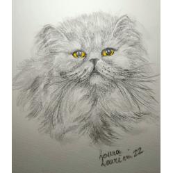 schizzo-gatto-persiano