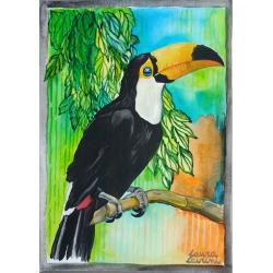 tucano