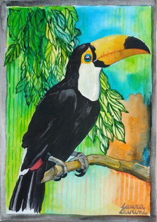 tucano