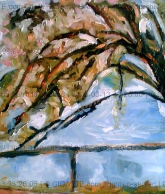 strada-sul-lago