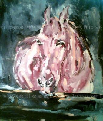 il-cavallo-viola