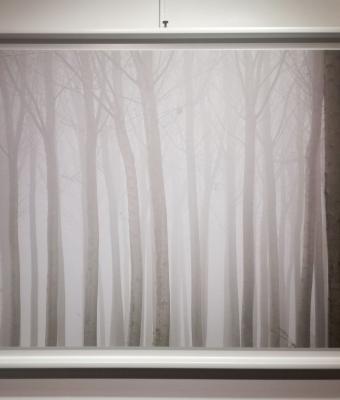 physiognomy-and-silences-of-th