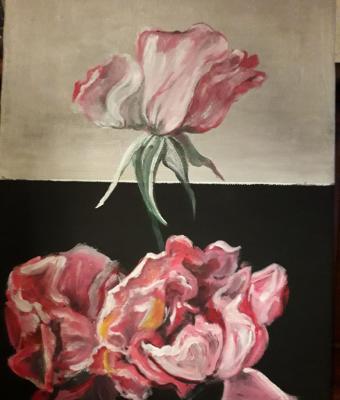 una-rosa-una-rosa