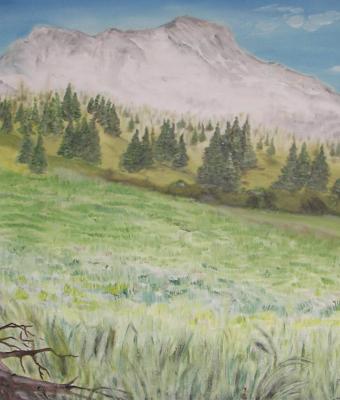 montagne-intorno-a-lech