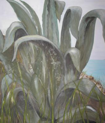 agave