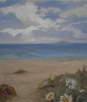 margherite-sulla-spiaggia