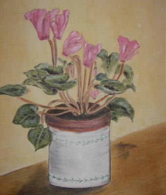 i-ciclamini
