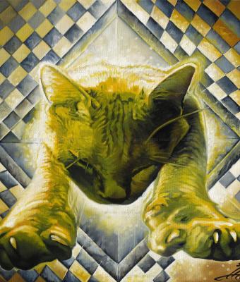 shrodinger-s-cat