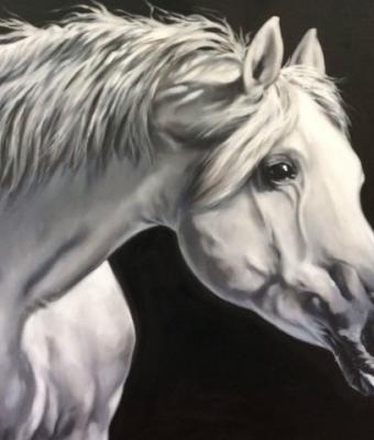il-cavallo-bianco-del-re