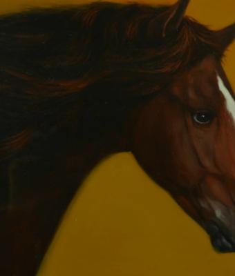 quotil-cavallo-di-cortequot