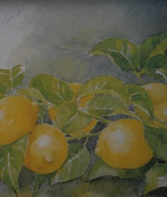tralcio-di-limoni