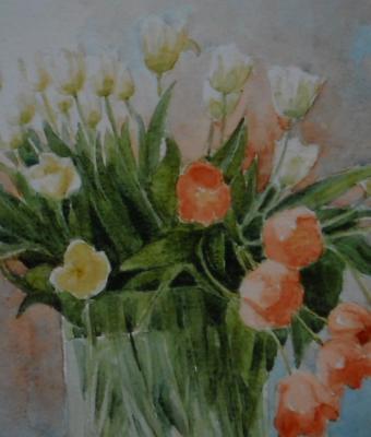tulipani