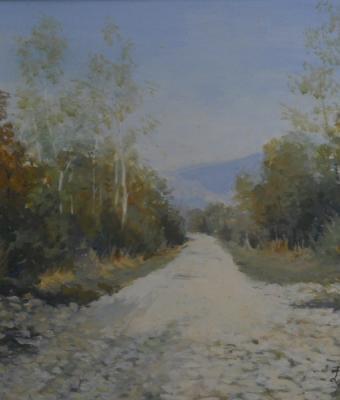 viottolo-di-campagna