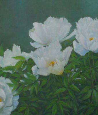 peonie-bianche