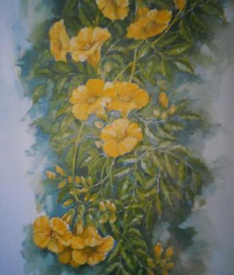 bignonia-gialla
