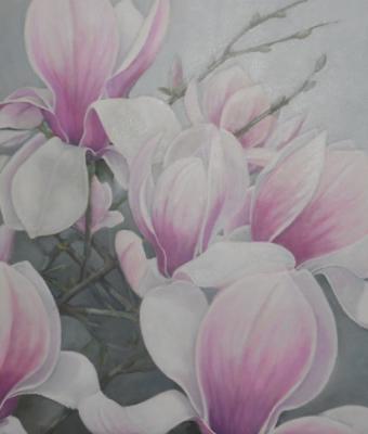 magnolia-rosa