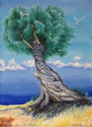 alberi