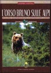 l-orso-bruno-sulle-alpi