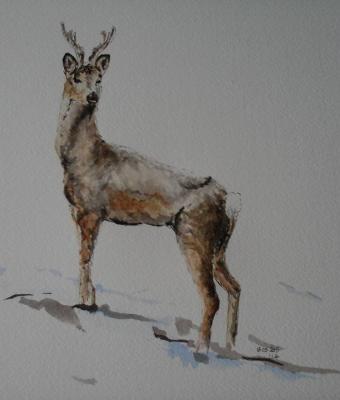 capriolo-in-abito-invernale