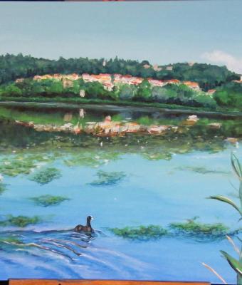 colline-sospese-sul-lago-di-co