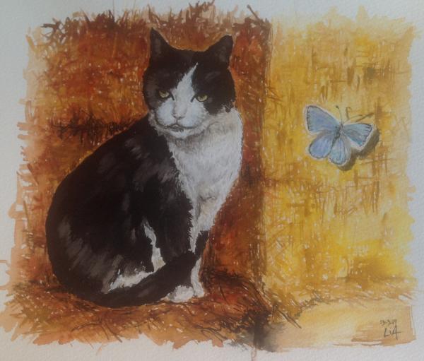 gatto-e-farfalla
