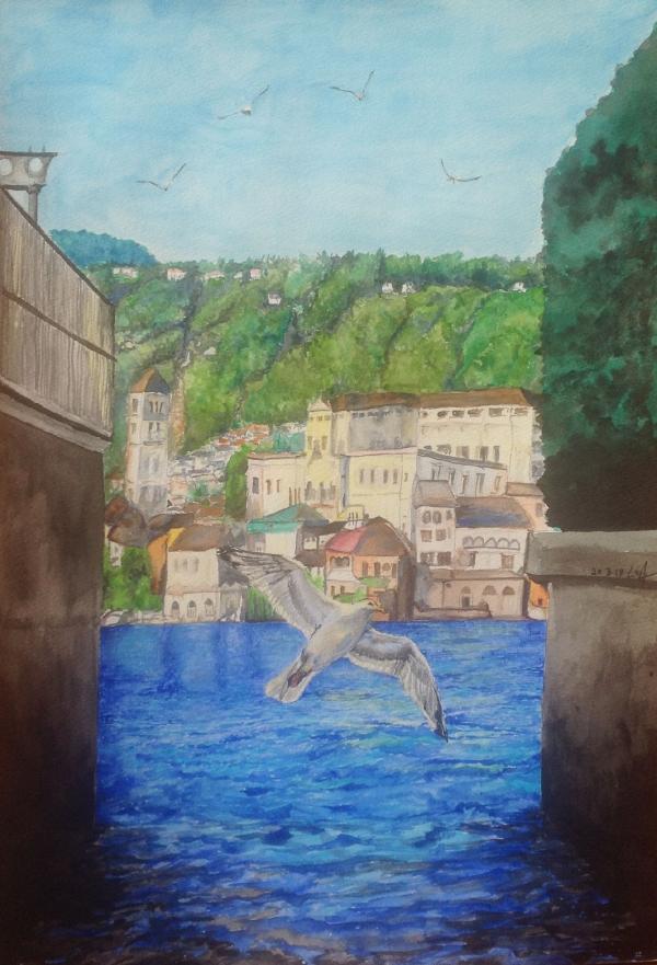 gabbiani-e-lago-d-orta