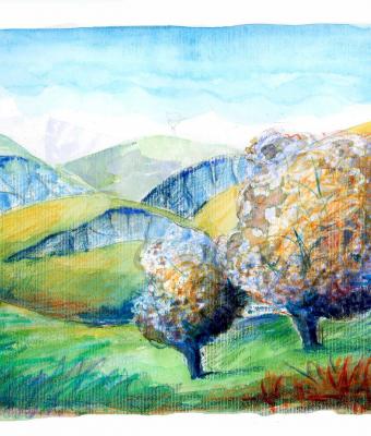 alberi-in-primavera