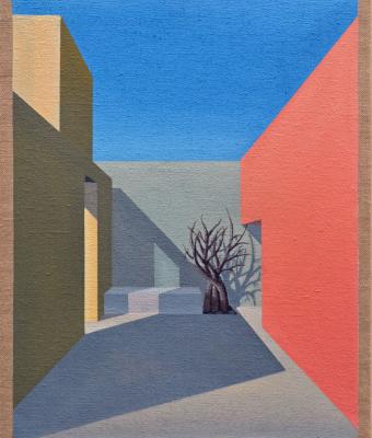 ombre-sull-albero