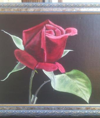 bocciolo-di-rosa