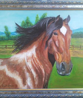 primopiano-di-cavallo