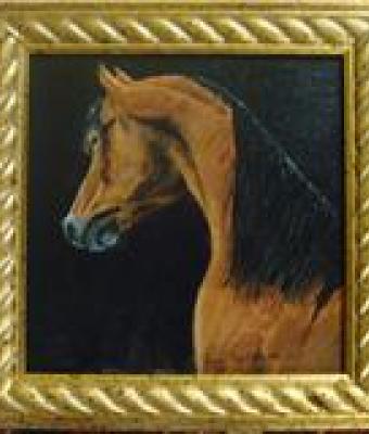 cavallo1p
