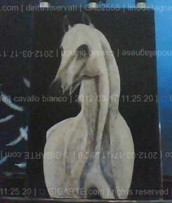 cavallo-bianco