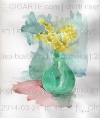 la-mimosa