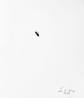 una-formica
