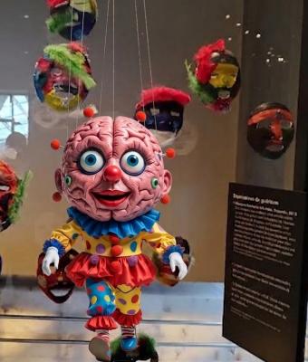 rual-ver-al-canadian-museum-fo