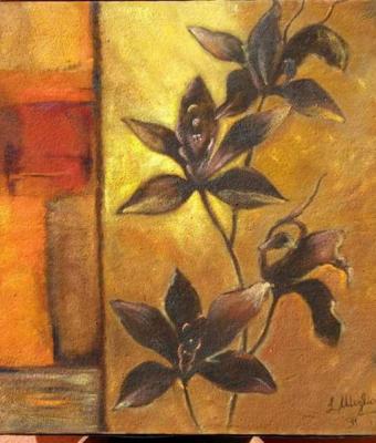 orchidee-etniche