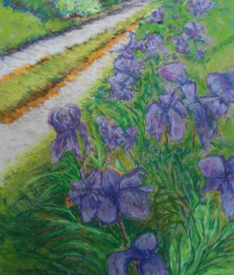 passeggiando-tra-gli-iris