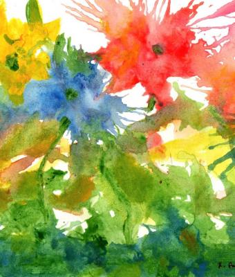 fiori-di-campo