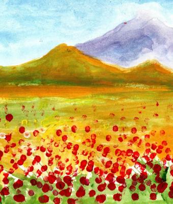 campo-di-papaveri
