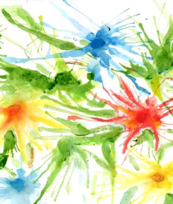fiori-di-campo