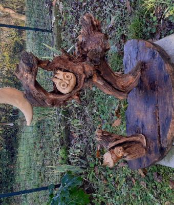 la-forma-della-notte