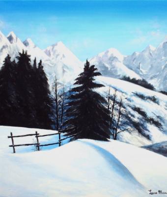 alberi-in-contrasto