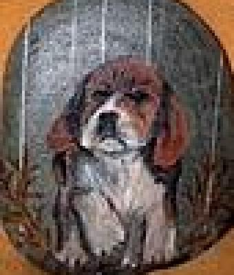 cagnolino
