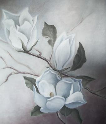 magnolie