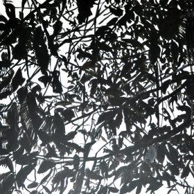 black-shadows