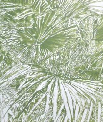 palm-beach