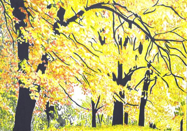 sogno-d-autunno